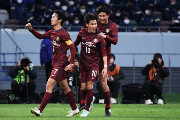 杨鸣的观点