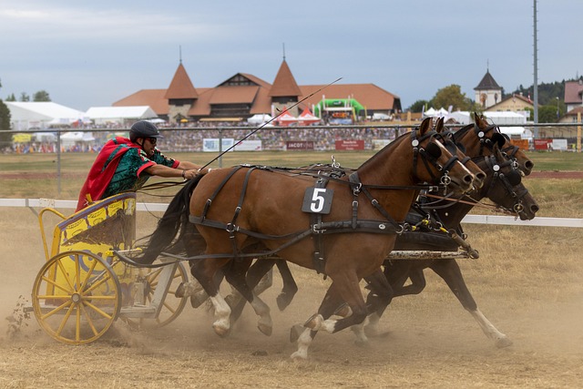 员的出场要 员的出场要